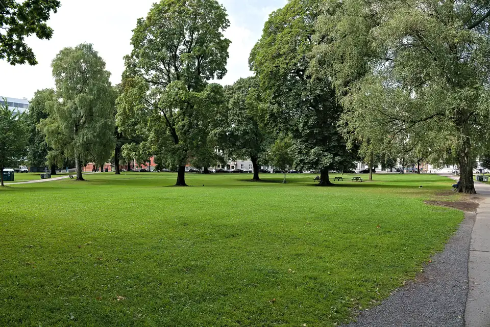 Grønn gressplen med store løvtrær og piknikbord i Sofienbergparken i Oslo